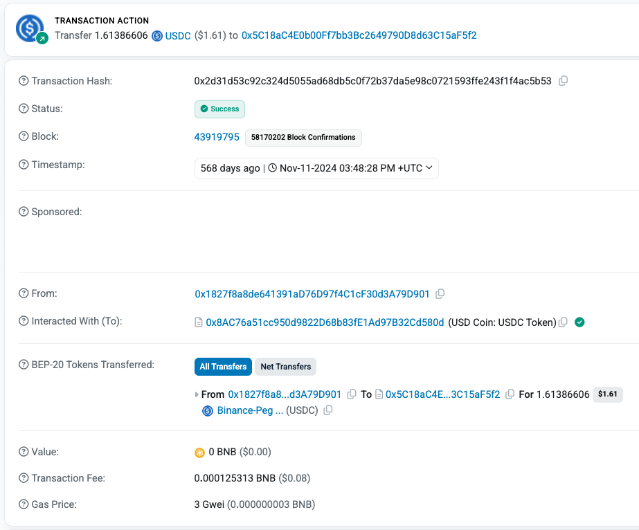 USDC BSC transaction